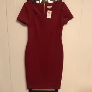 Calvin Klein Red Fitted Dress